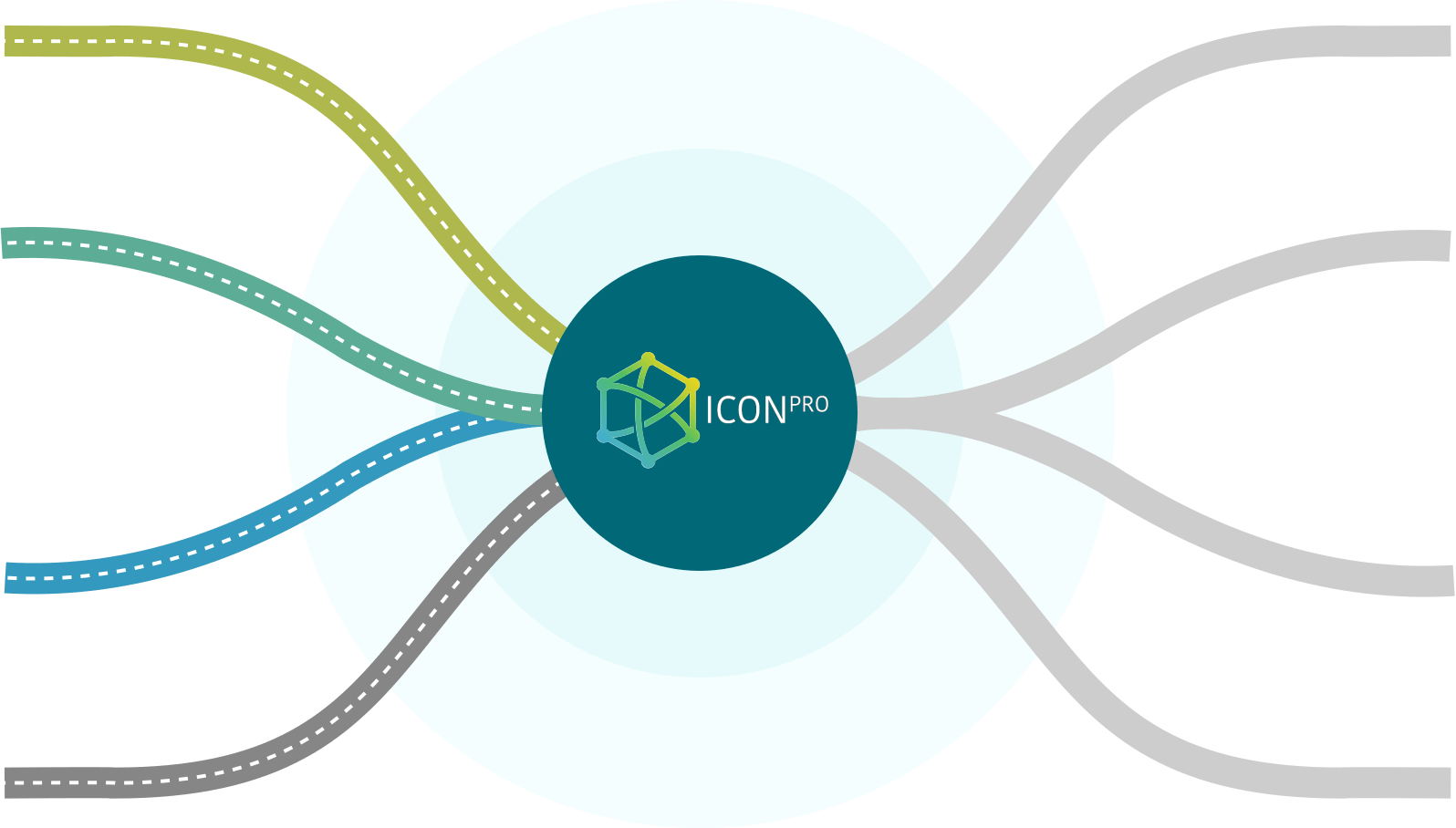 Icon Pro